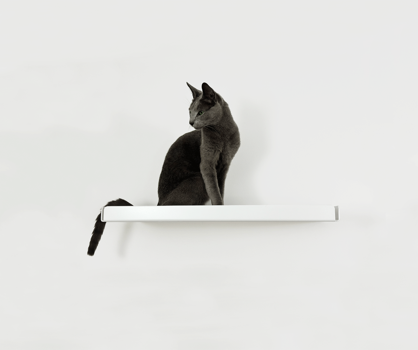 Cat Wall Shelf - Pet Person