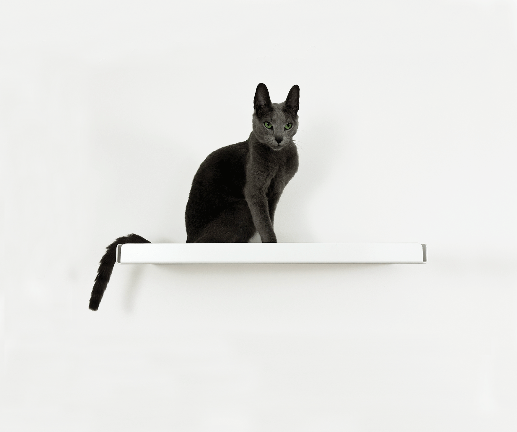 Cat Wall Shelf - Pet Person