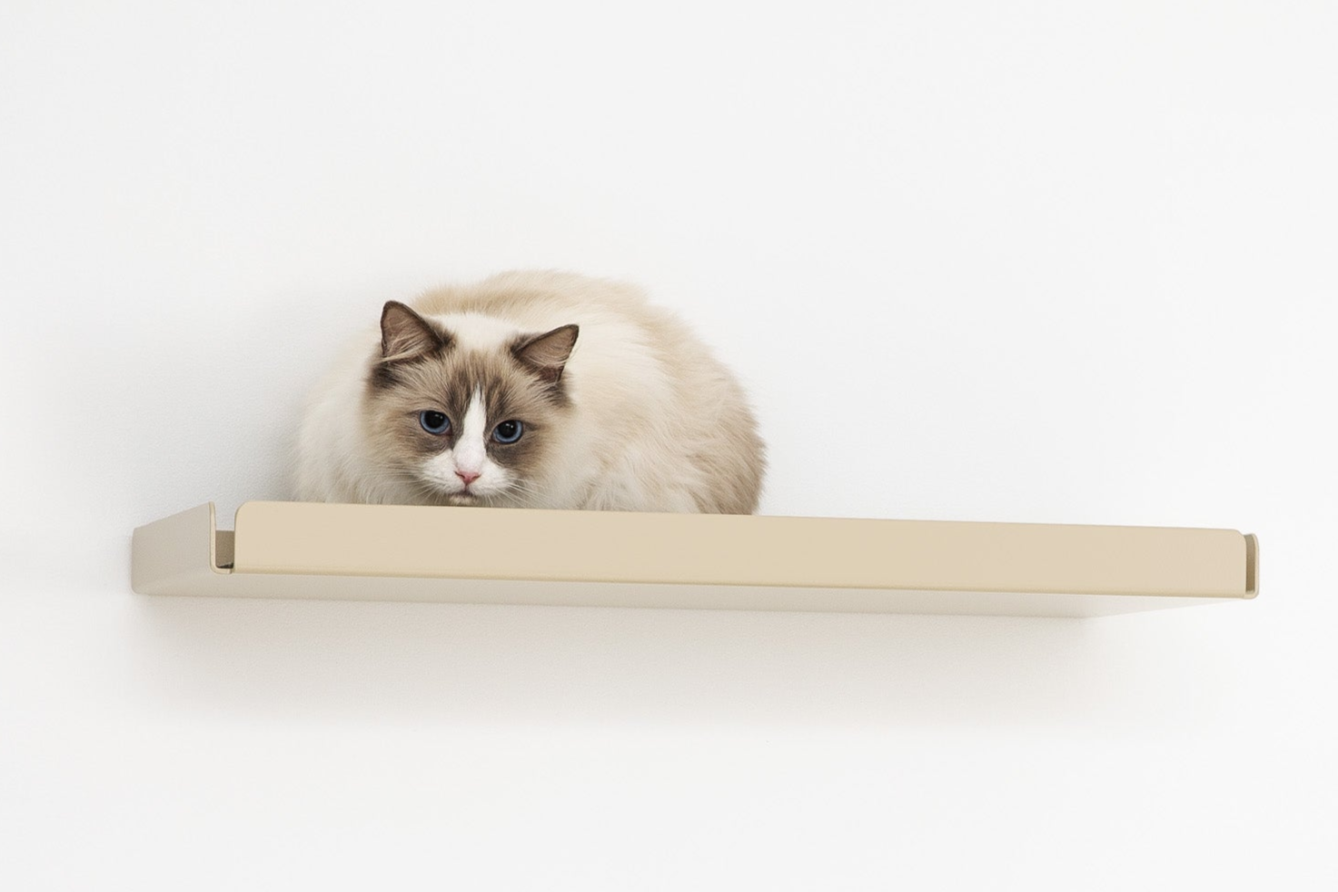 Cat Shelf Boxy Pet Person