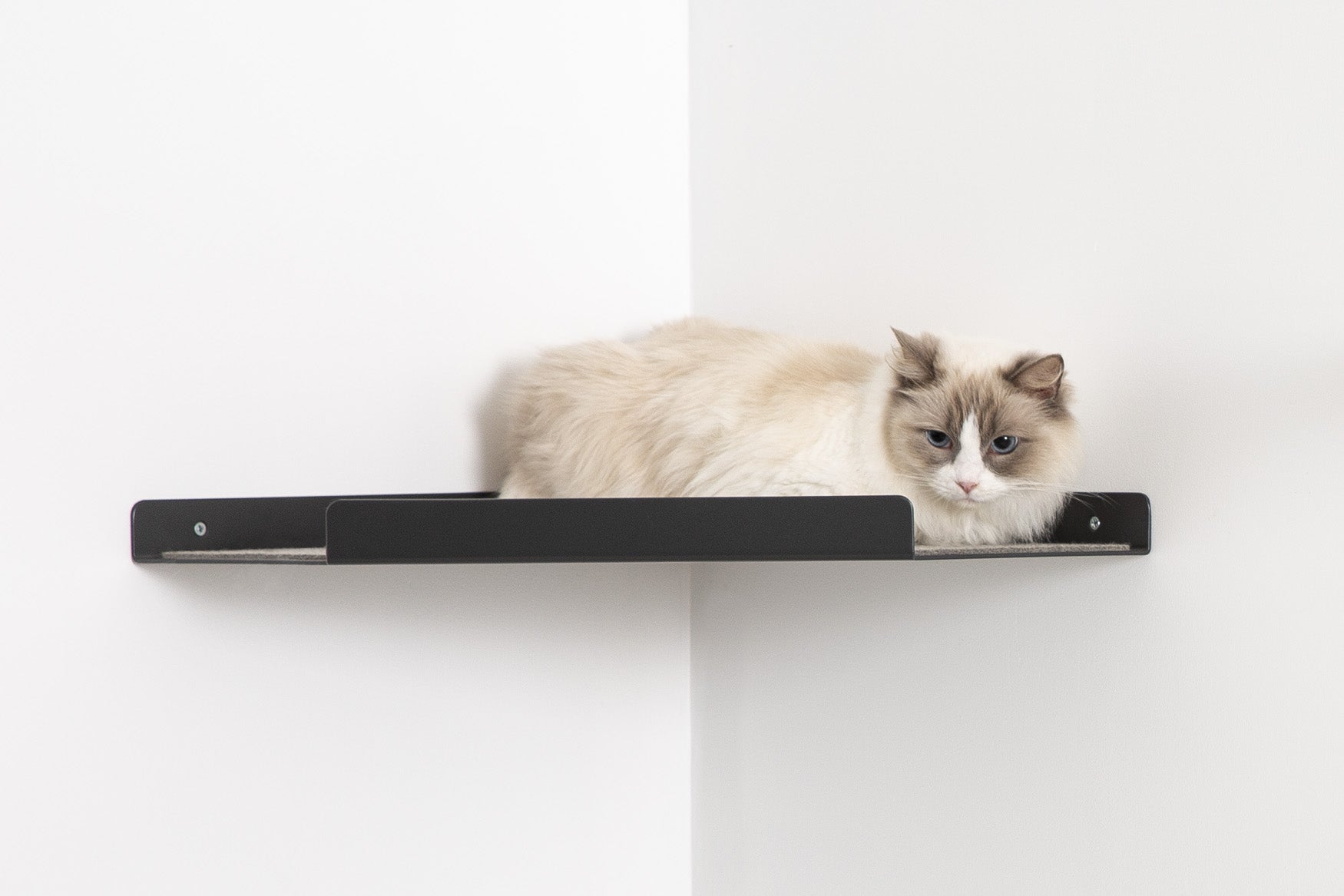 Cat Shelf - Corner Pet Person