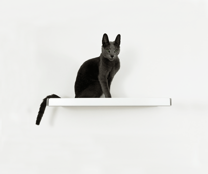 Cat Wall Shelf - Pet Person 
