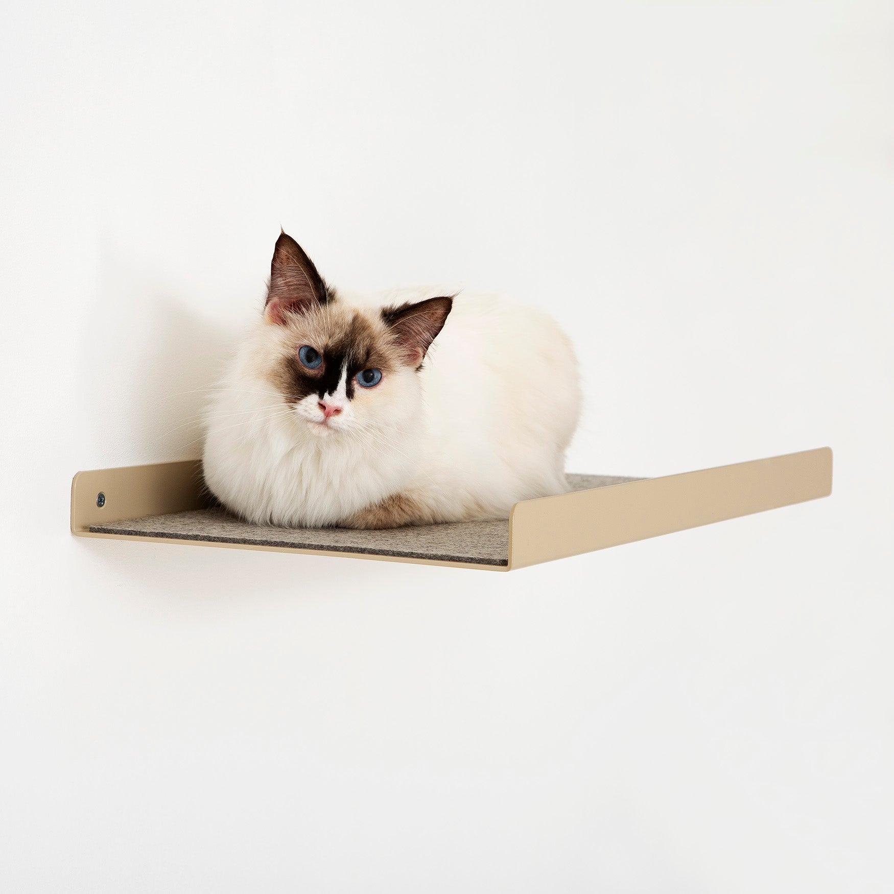 Cat Wall Shelf - Pet Person