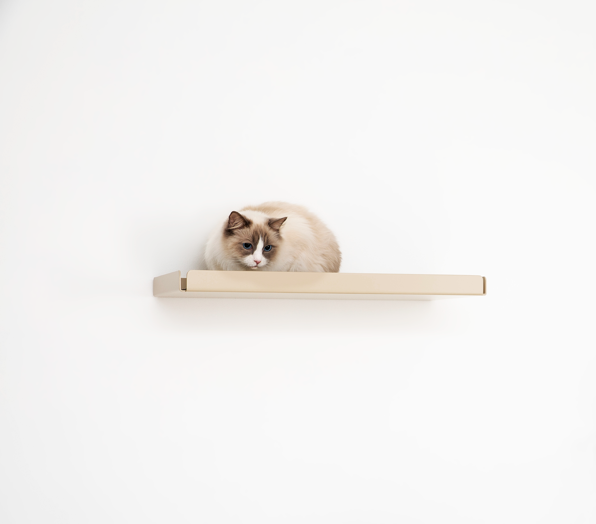 Cat On Cat Wall Shelf