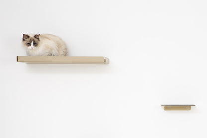 Cat Shelf Boxy Pet Person