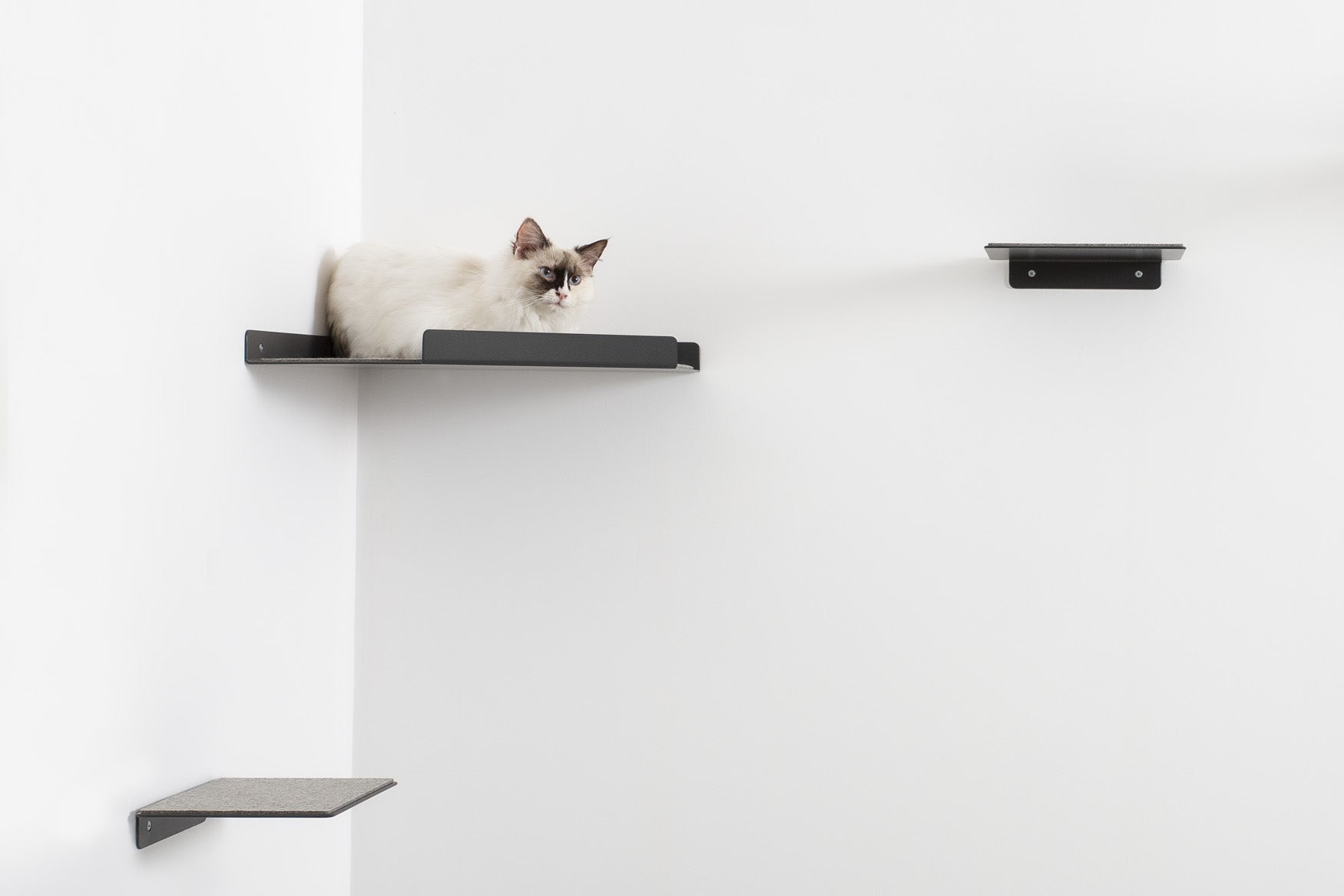 Cat Shelves Corner Pet Person